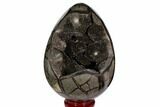 Polished Septarian Puzzle Geode - Black Crystals #113659-4